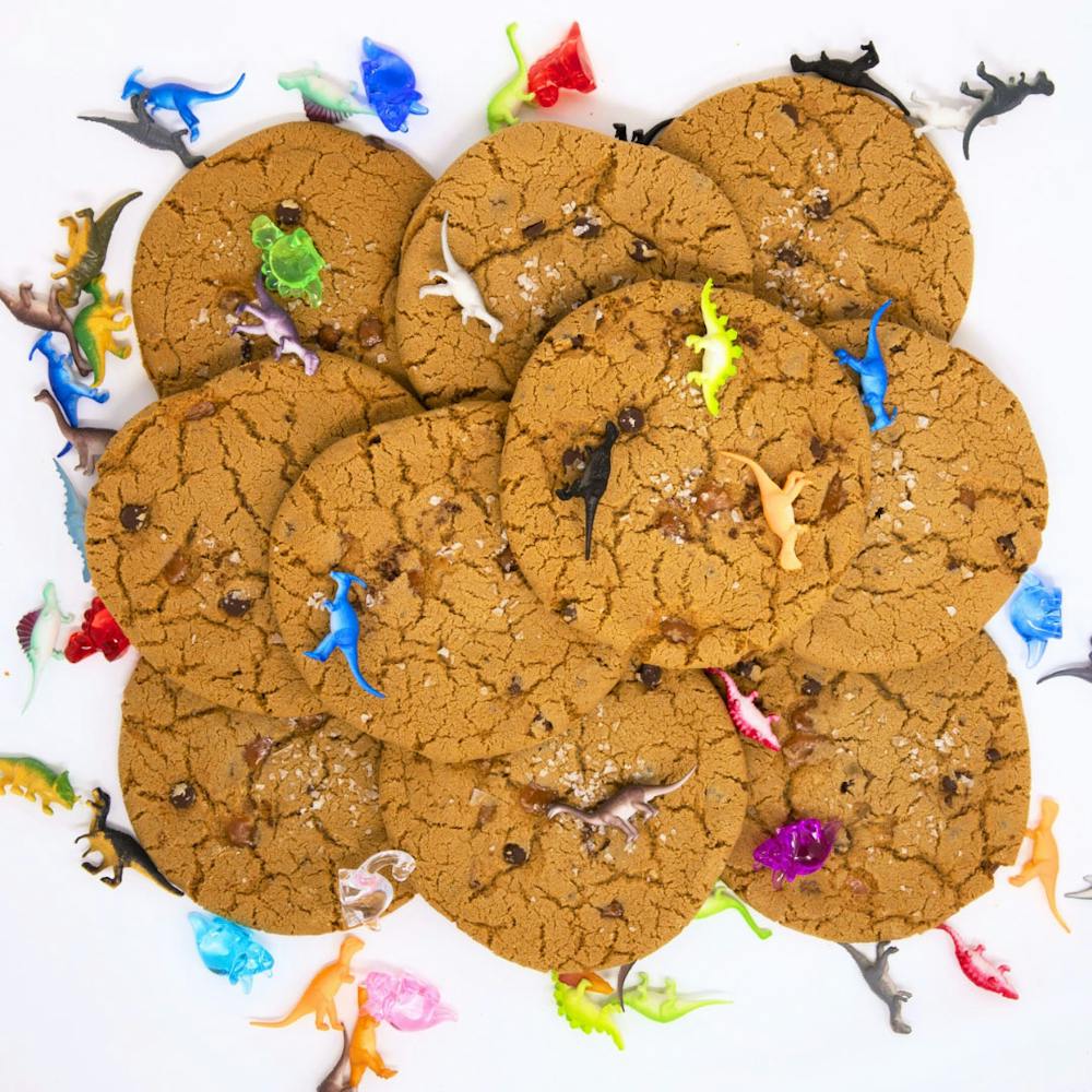 10PackBakersChoiceSeaSalt1_copy