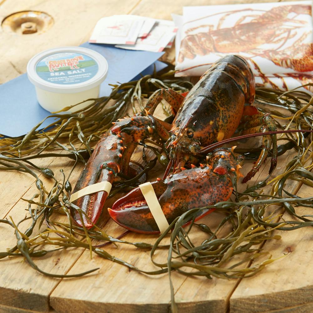 125-lb-lobster.fe510c70cff157e1cd06455d46e39bc1