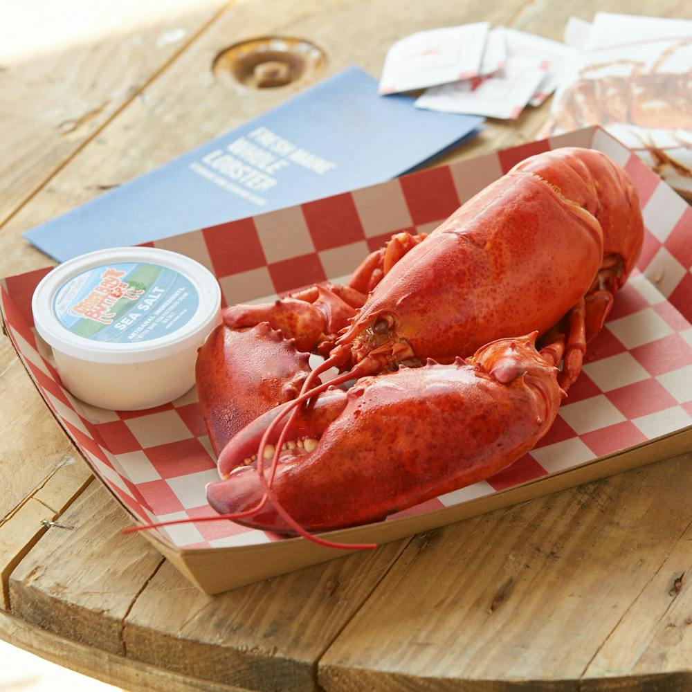 2-lb-lobster.fd93830758d3bdea1b91b484b5989c1f