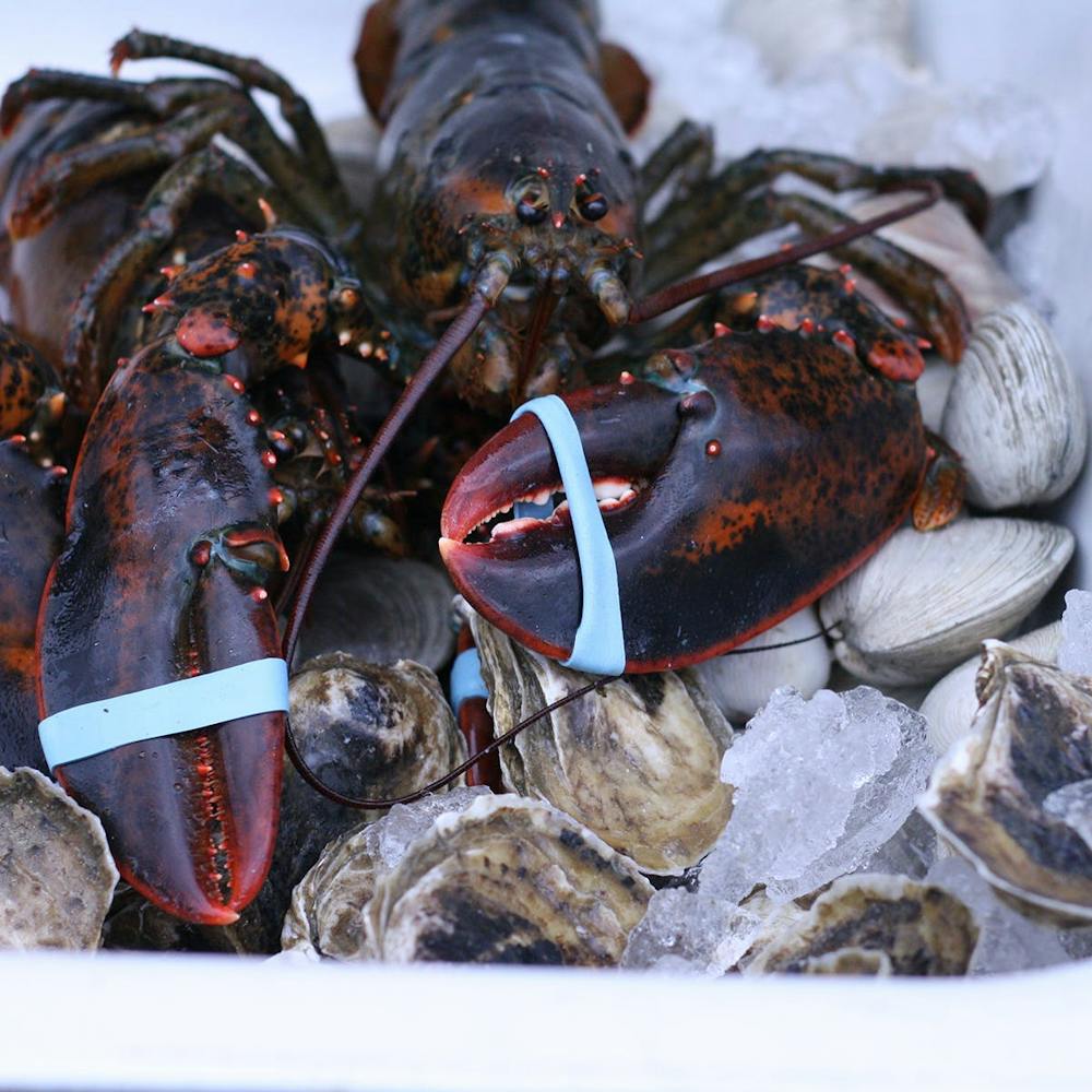 2-lb-lobsters-2-pack.75e312fdbd75c0a50a1429eec4747f4d