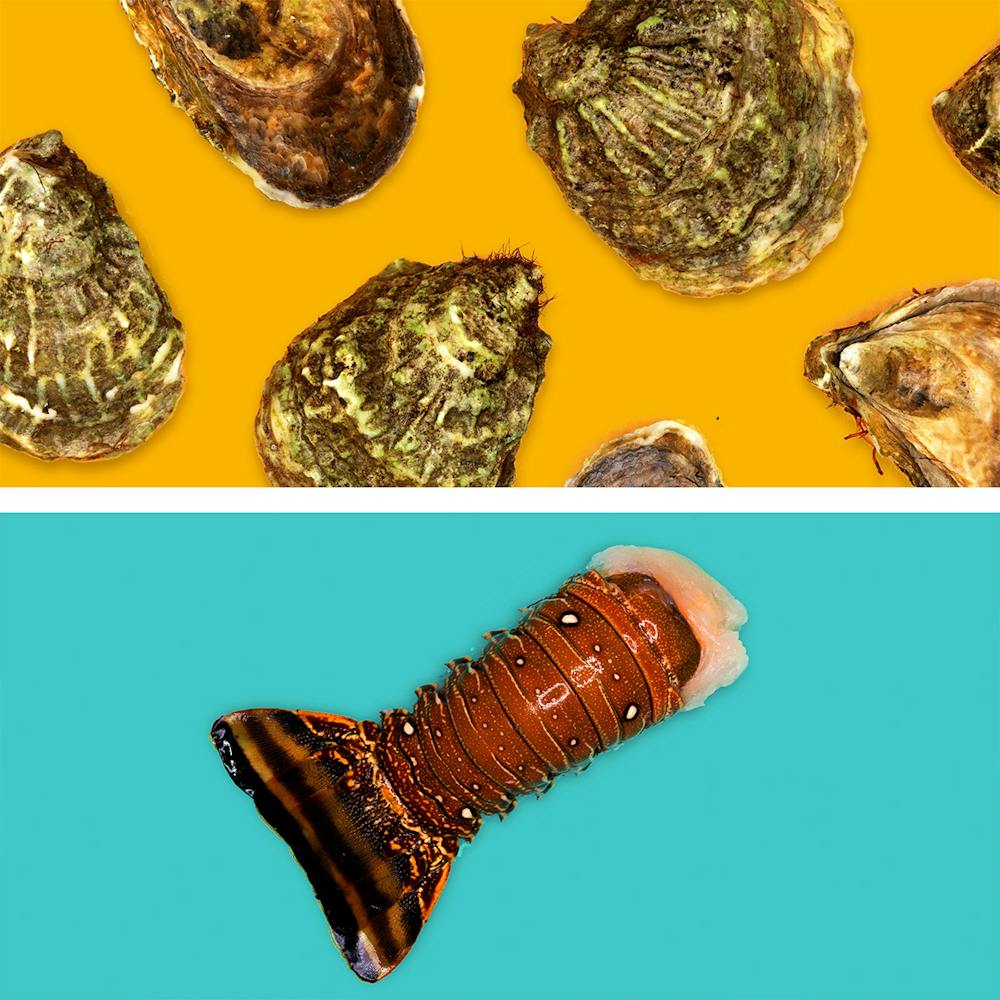 Aqua-Best-Oysters-Lobster-Tail