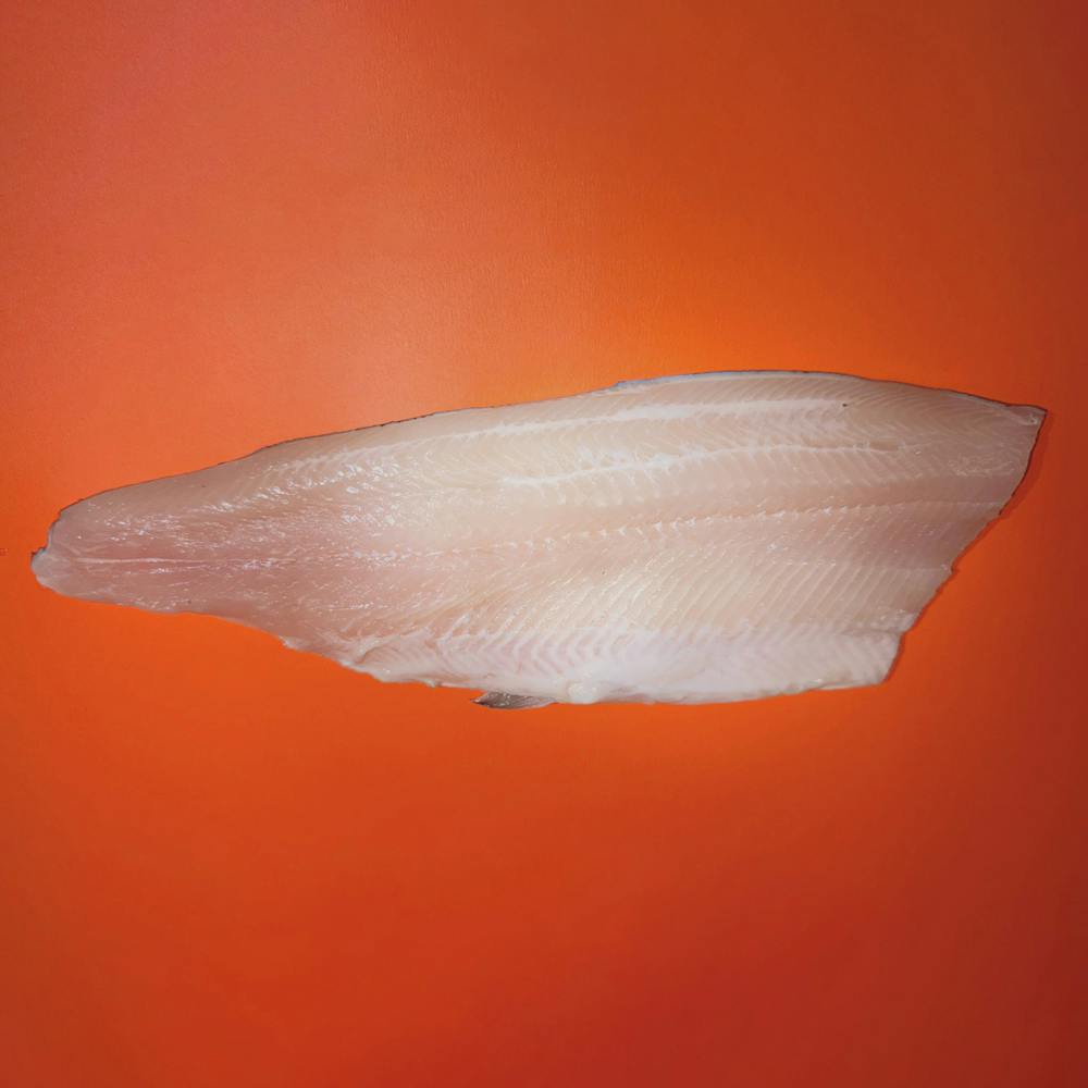Aqua-Best-Trout