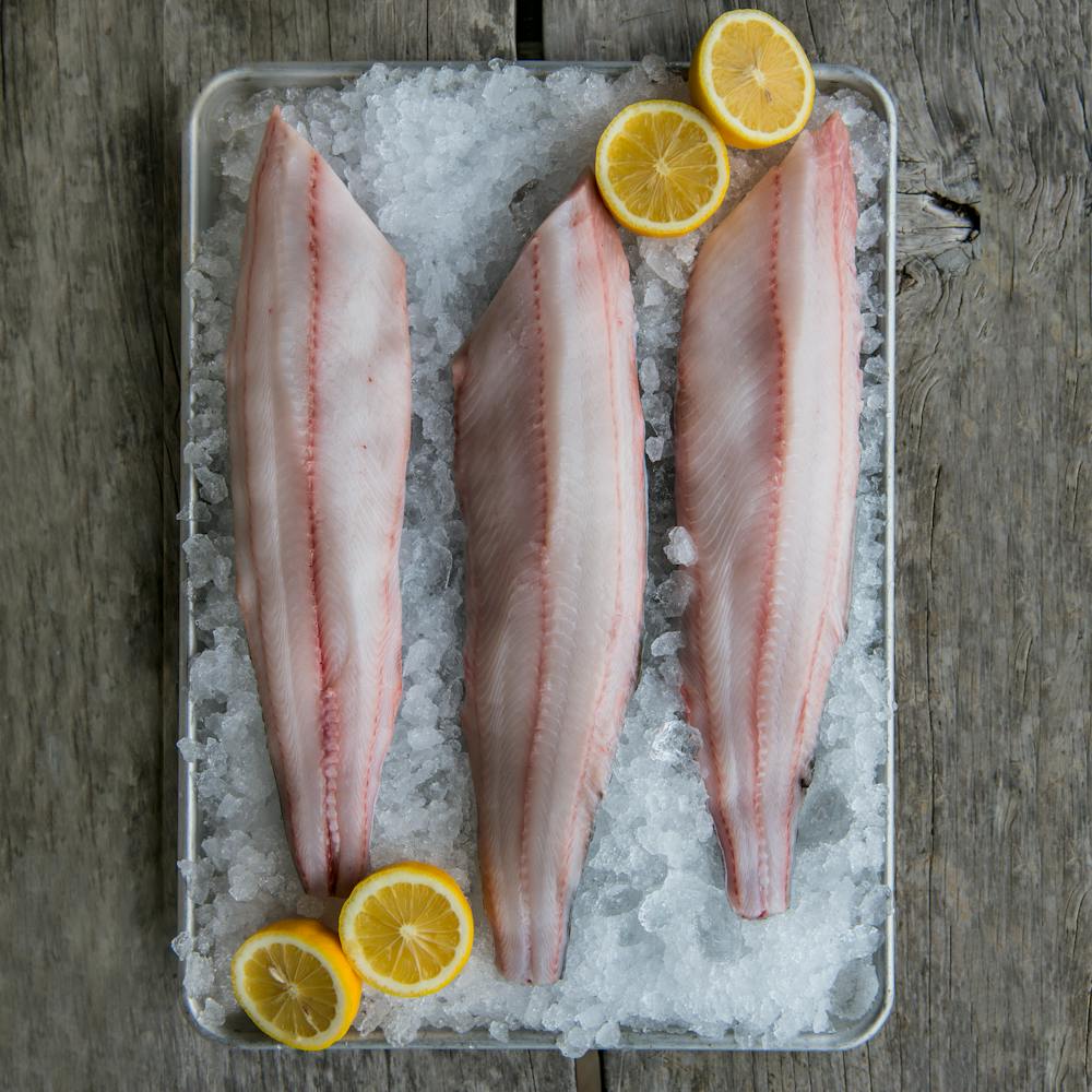 Black_Cod_Hog_Island_2834