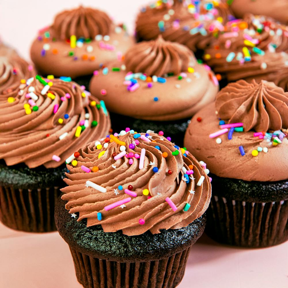 Chocolate_Vegan_Party_Dozen_-_3