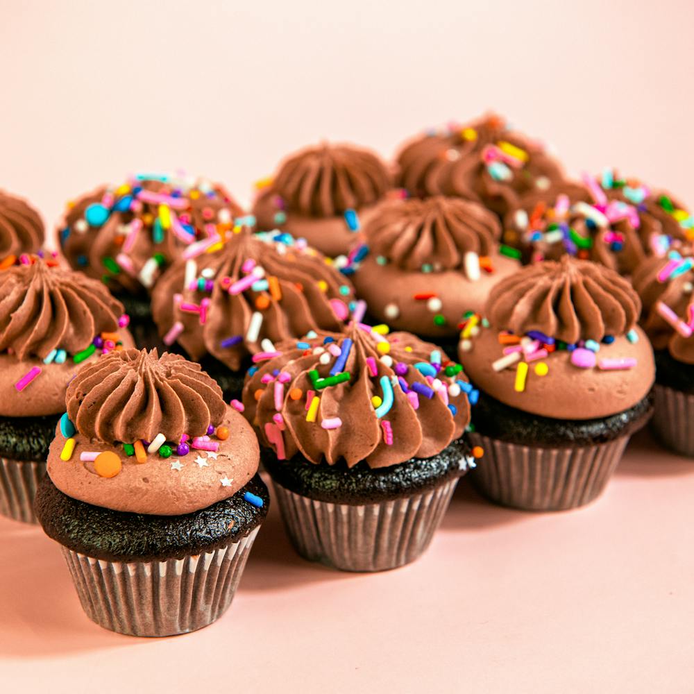 Chocolate_Vegan_Party_Minis_-_2
