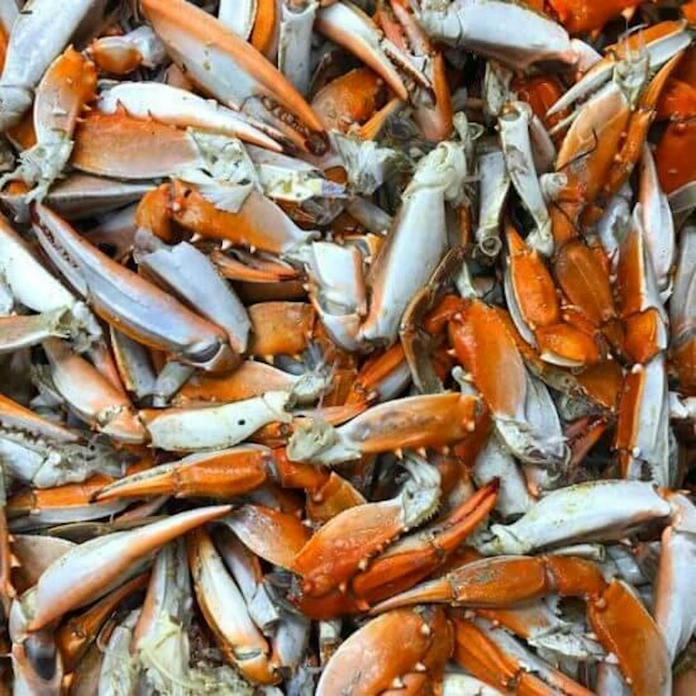 Crab_Claws_1