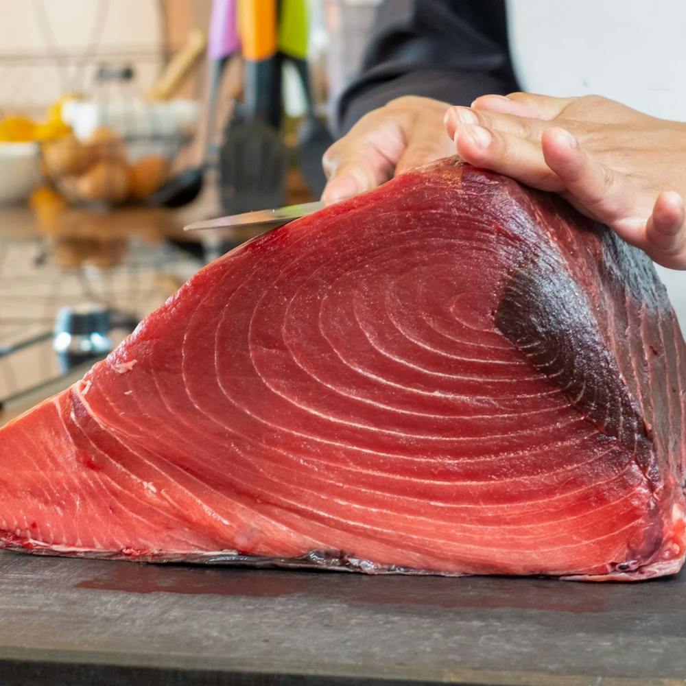 Gulf_of_Maine_Bluefin_Tuna_1