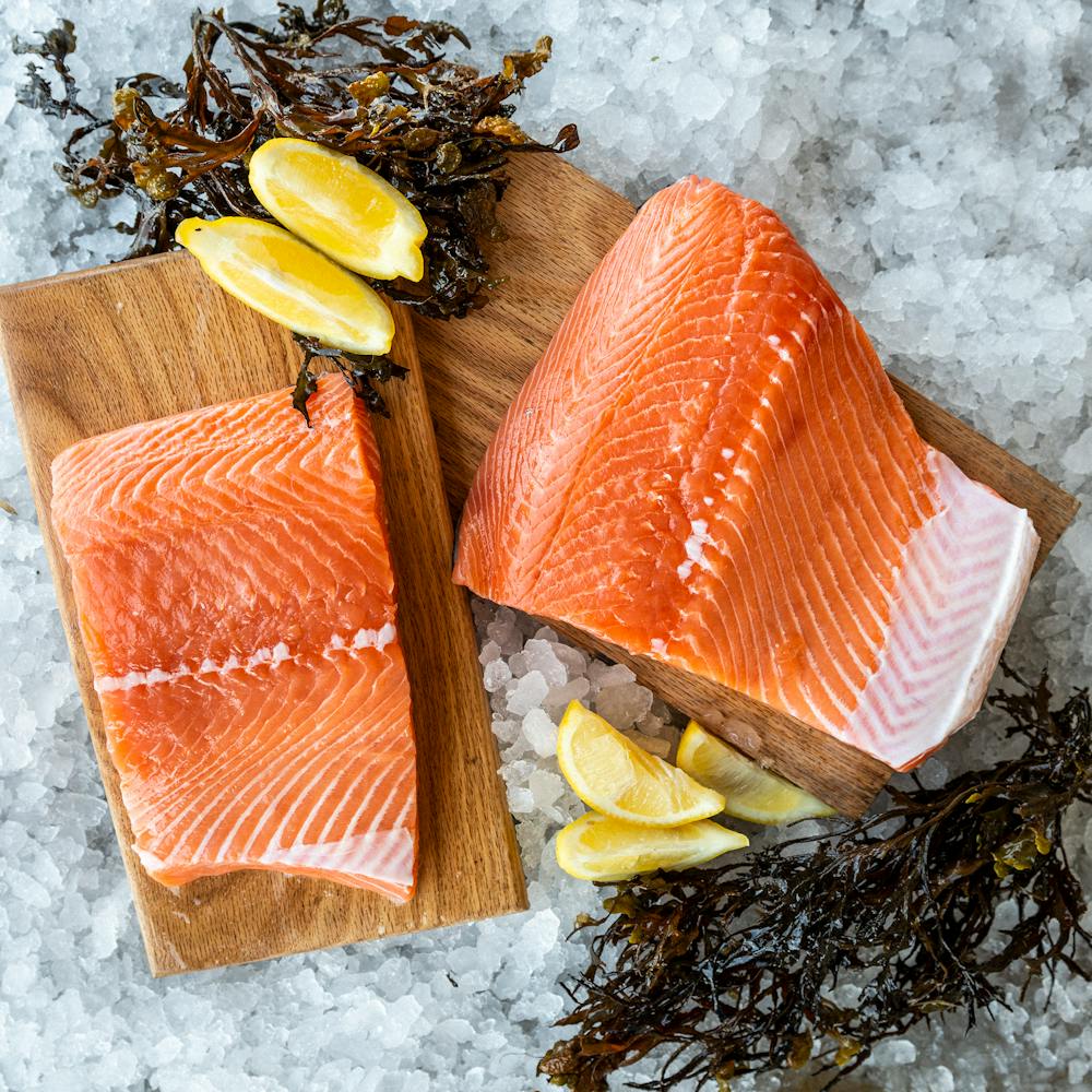 King_Salmon_Hog_Island_3616
