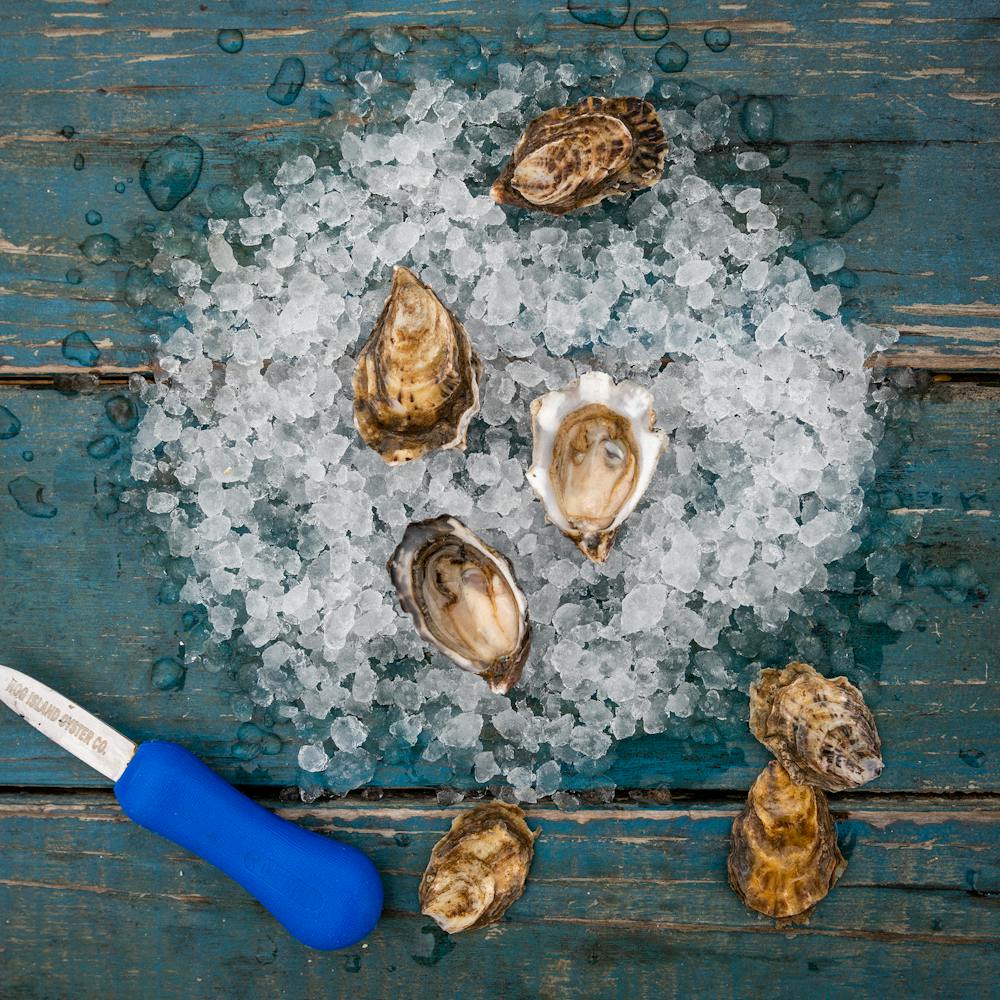Petite_Oysters_Hog_Island_2