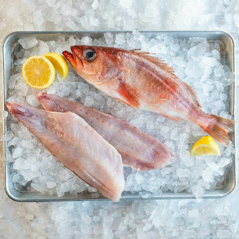 Rockfish_Hog_Island_8979