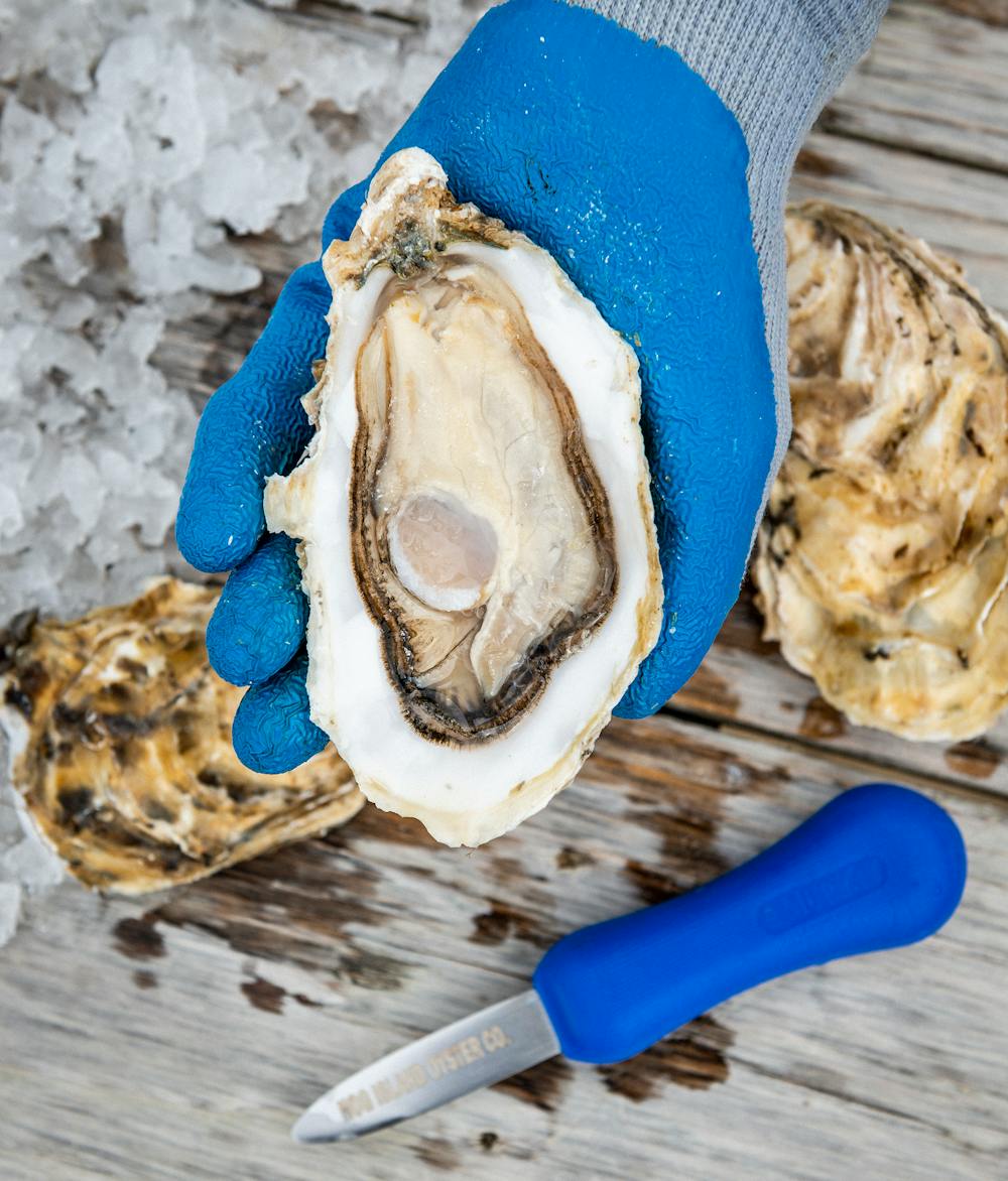 Sweetwater_Medium_Oysters_Hog_Island_0668