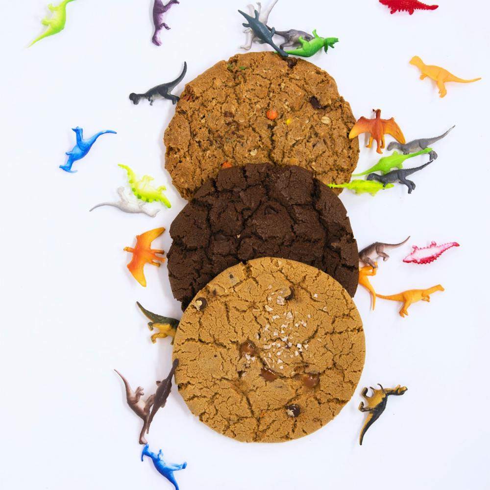 T-Rex-Cookie-Co-3-Pack-2