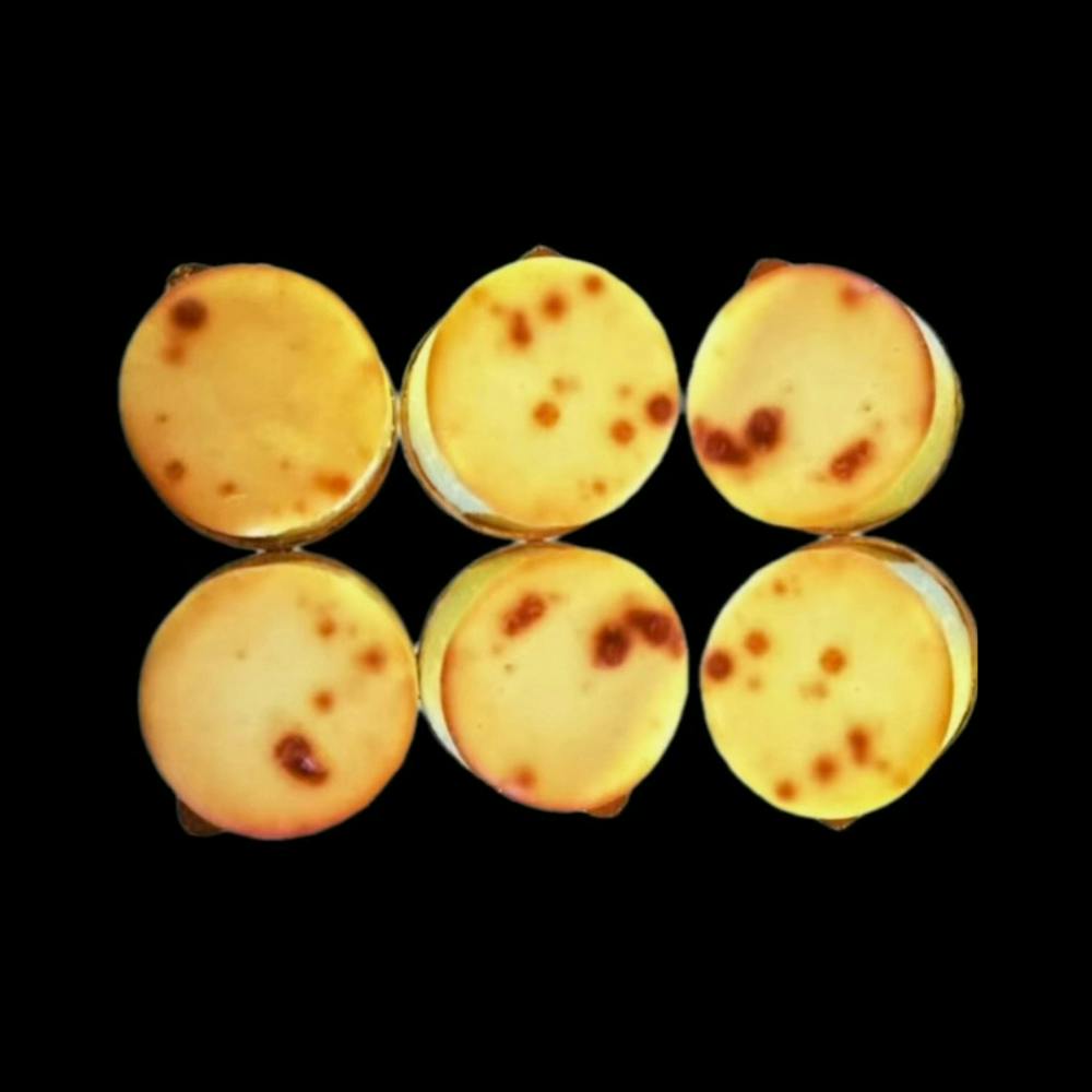 Venieros-Mini-Cheesecake-6pack