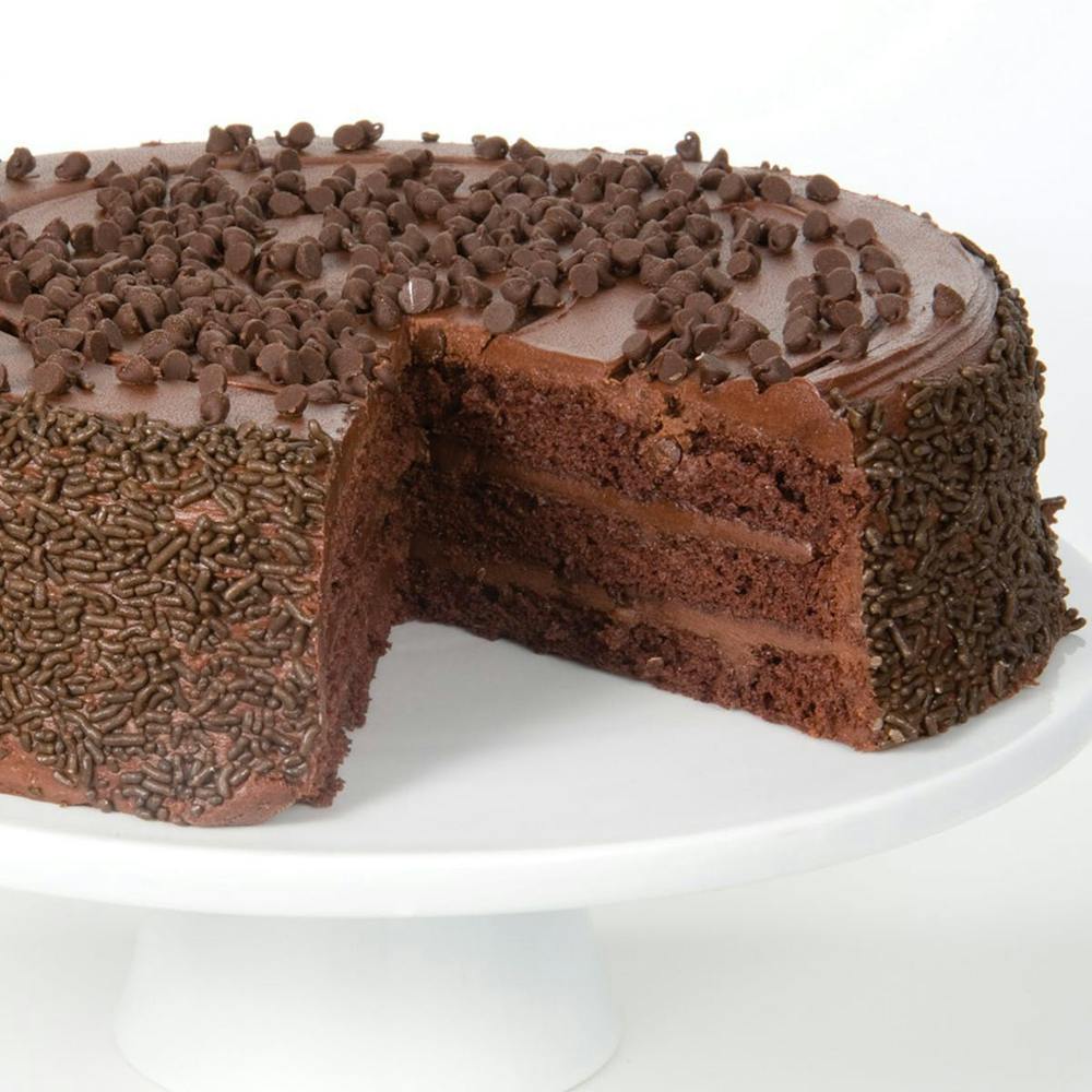 chocolate-chocolate-chip-layer-cake.9a1ef12d24e942b0af7791772f62ab7c