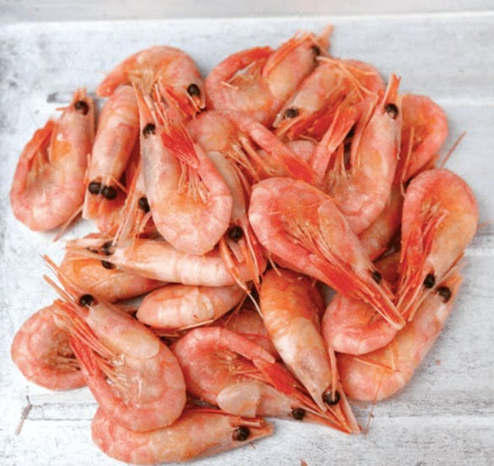 cooked-peel-and-eat-shrimp-by-the-pound.f0c64227a1e4200c2499ae7d19f885c6