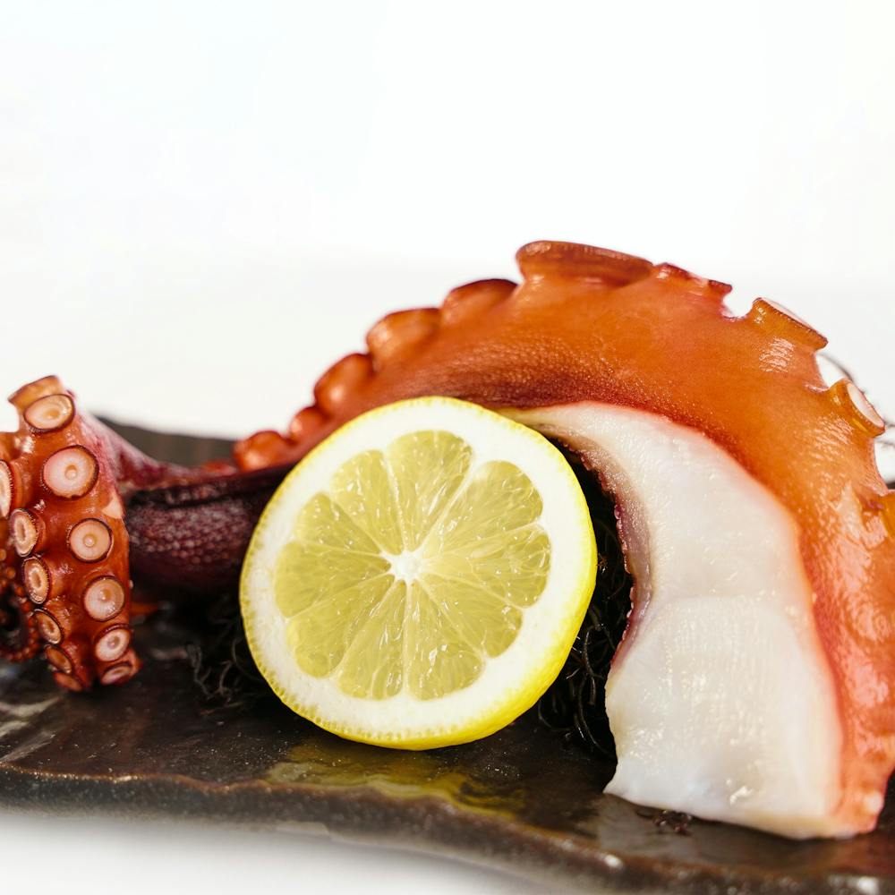 madako-tako-octopus.6ec1d2057428aedeac6785eaac832c0d