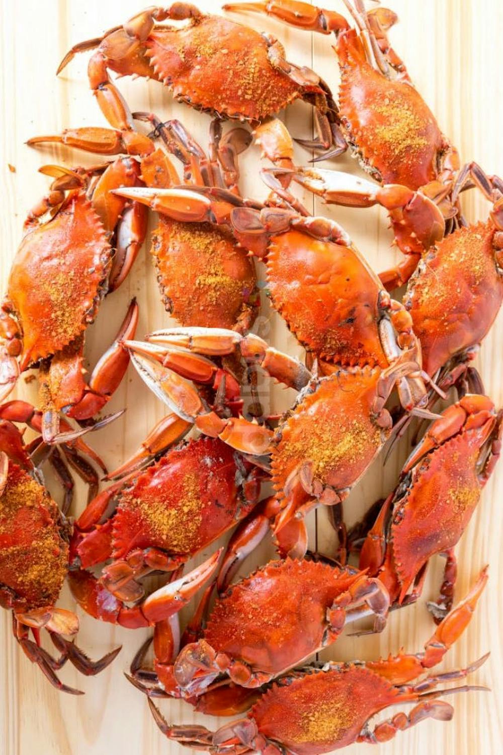 obryckis-extra-large-premium-hardshell-crabs.969e2e1d680d7abffd75eb4bd0f9da69