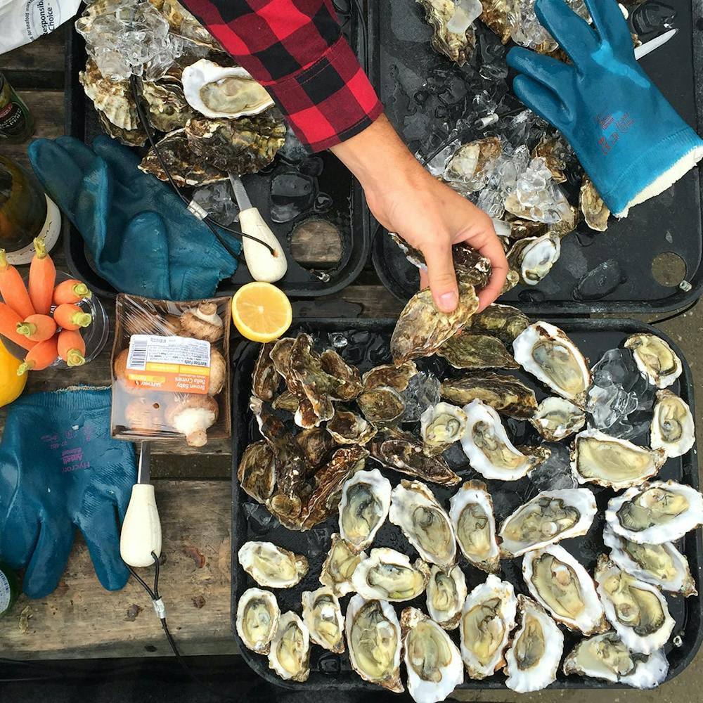 rappahannock-river-oysters-75-oyster-variety-pack.e14cb9fb5c6f79bbbd9f542131d446f5