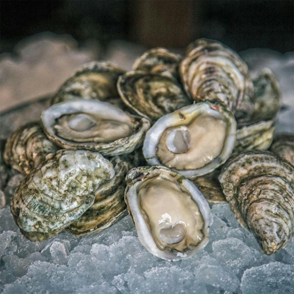 raw-bar-oyster-party-kit-100-pack.32a90289119621e760f2afe17889bb9c