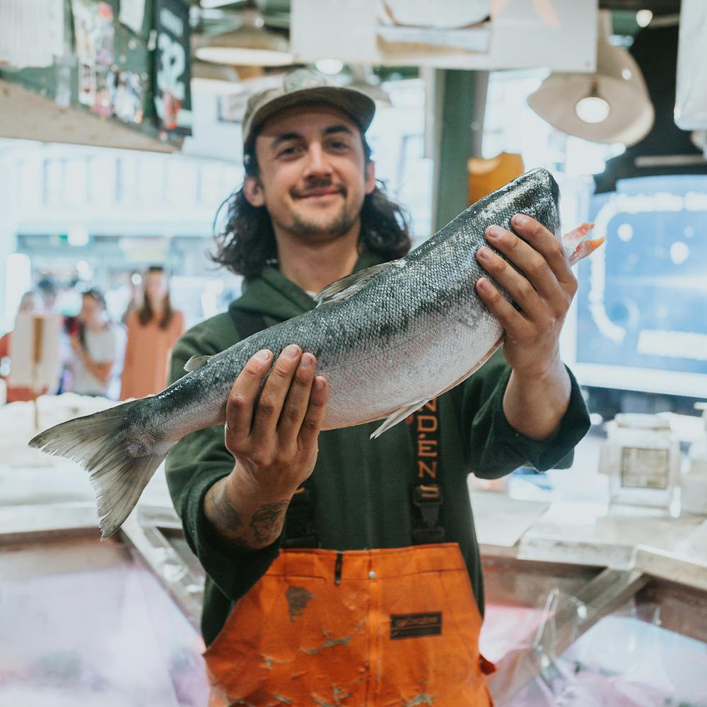 sockeye_main