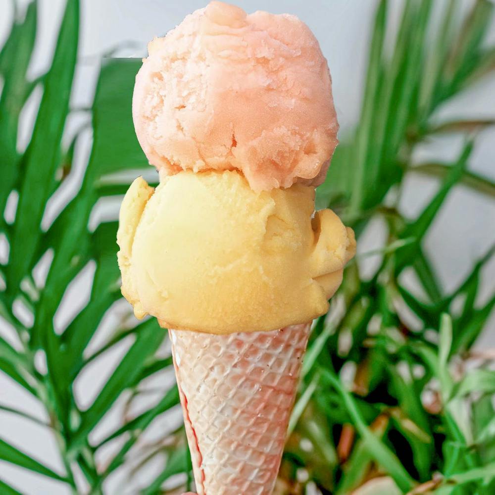 vegan-sorbet-best-seller-4-pints.e90417266fa24f68ba30405db5574e9a