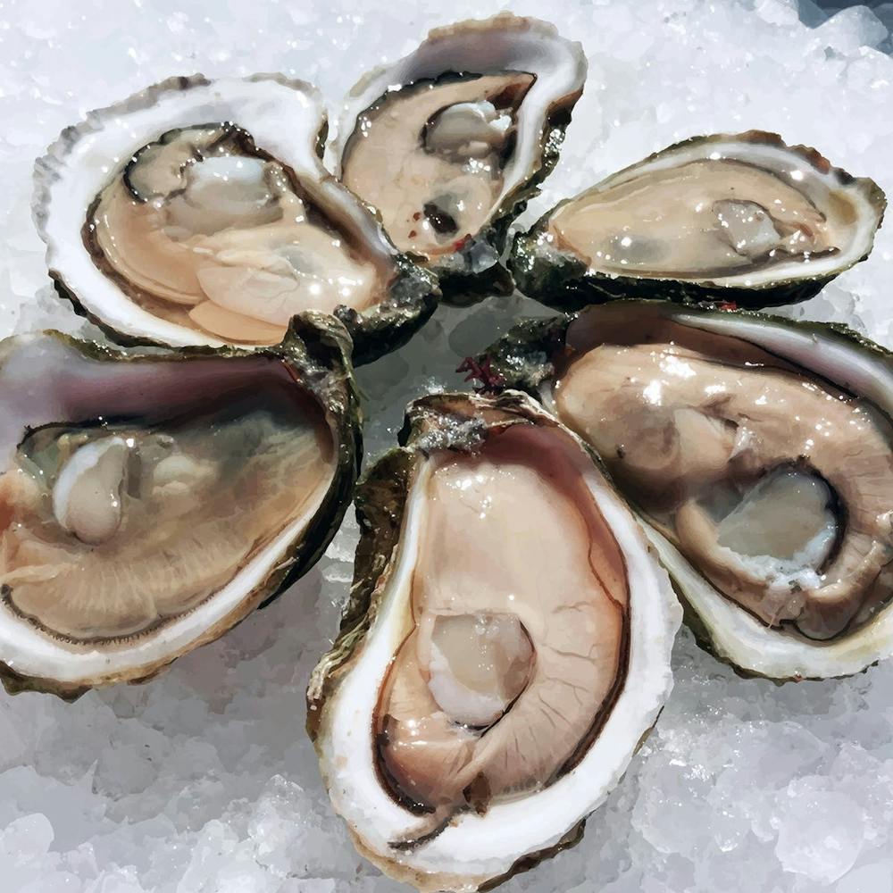 wellfleet-oysters-200-pack.c88e161088ad55aef4b3743863a880cd