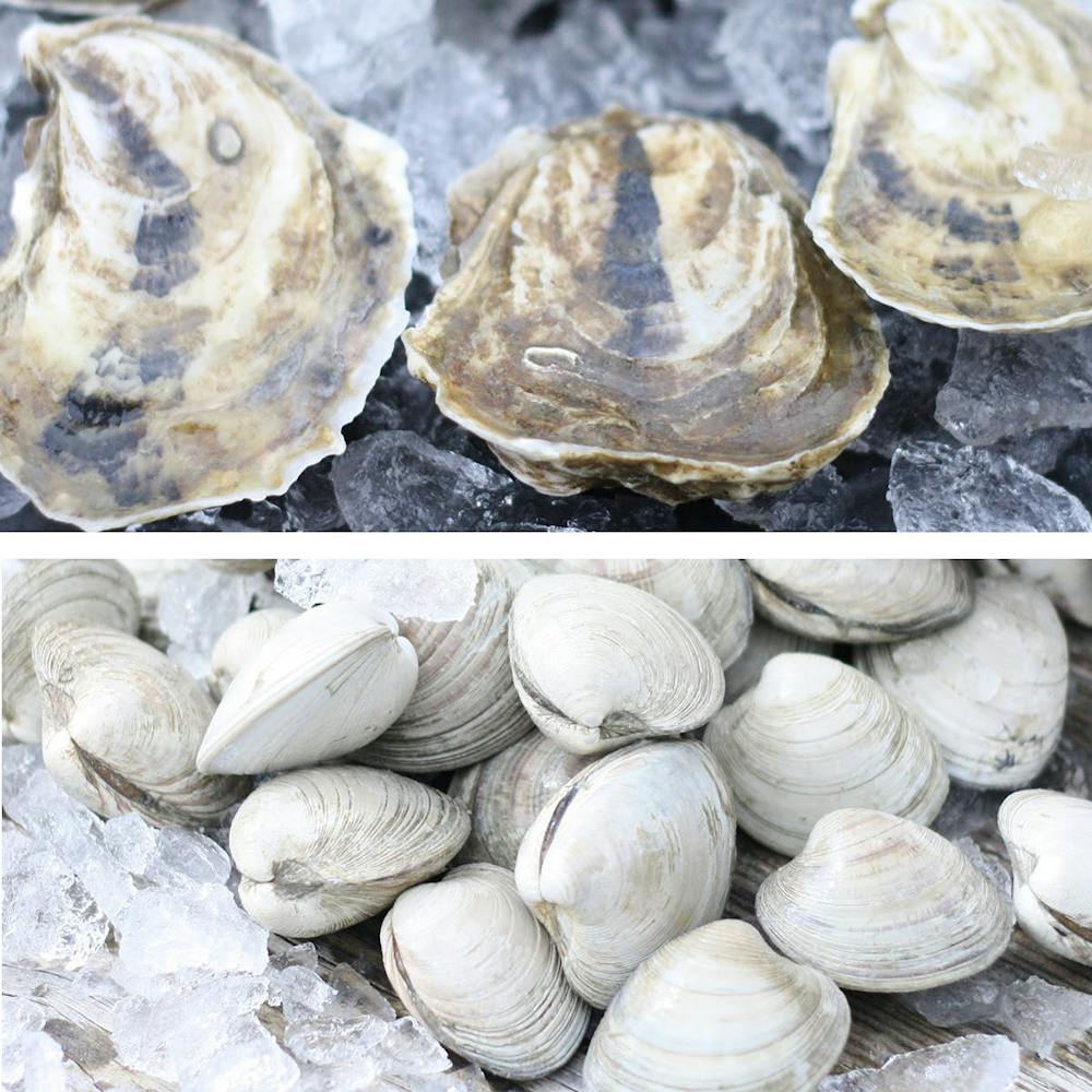 wellfleet-oysters-clams-50-pack.daecb5bab126424055aaa98565462dba