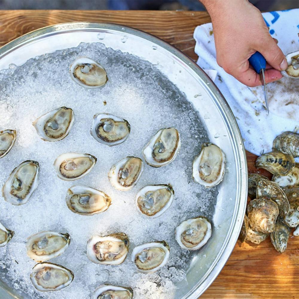 white-stone-oysters-50-pack.ab3f218c6eb371f9246731a04836c2be